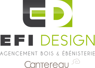EFI Design Logo
